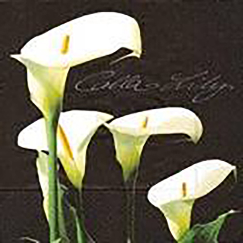 NAPKINS 33X33 CALLA LILY BLACK