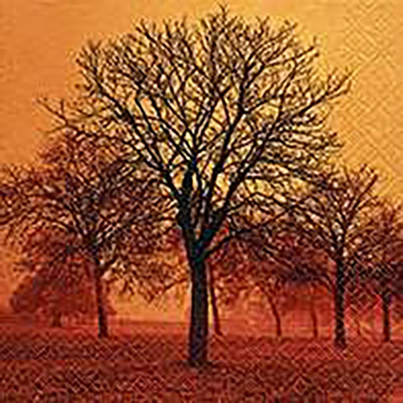 TOVAGLIOLI 25X25 AUTUMN MOOD