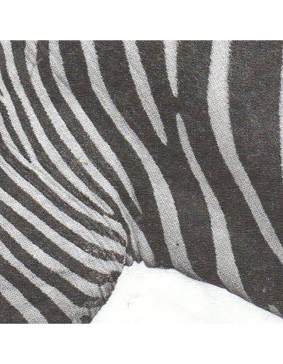 Animal zebra paper napkins