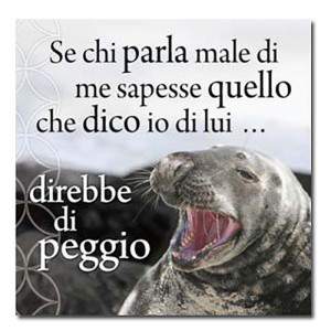 SE CHI PARLA... - MAGNETICA CANVAS