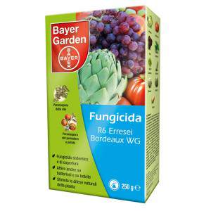 R6 BORDEAUX WG FUNGICIDA 250 g