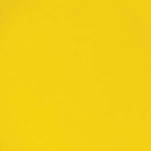 Excelsa Plate Trendy Yellow Background