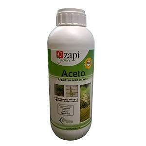 ZAPI ACETO CONCENTRATO 1lt