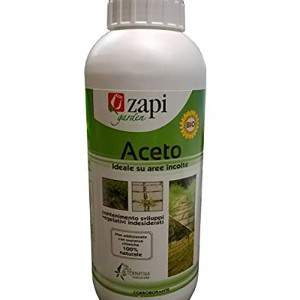 ZAPI CONCIS CONCENT 1lt