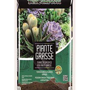 Earth Substrate soil specific for succulent plants