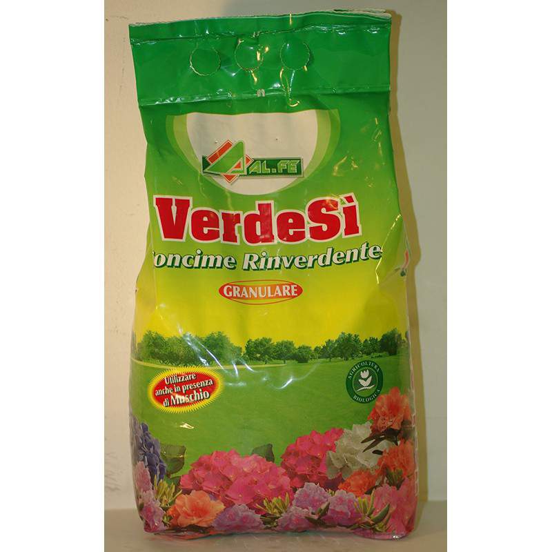 ALFE VERDESI kg 5 ALFE VERDESI kg 5