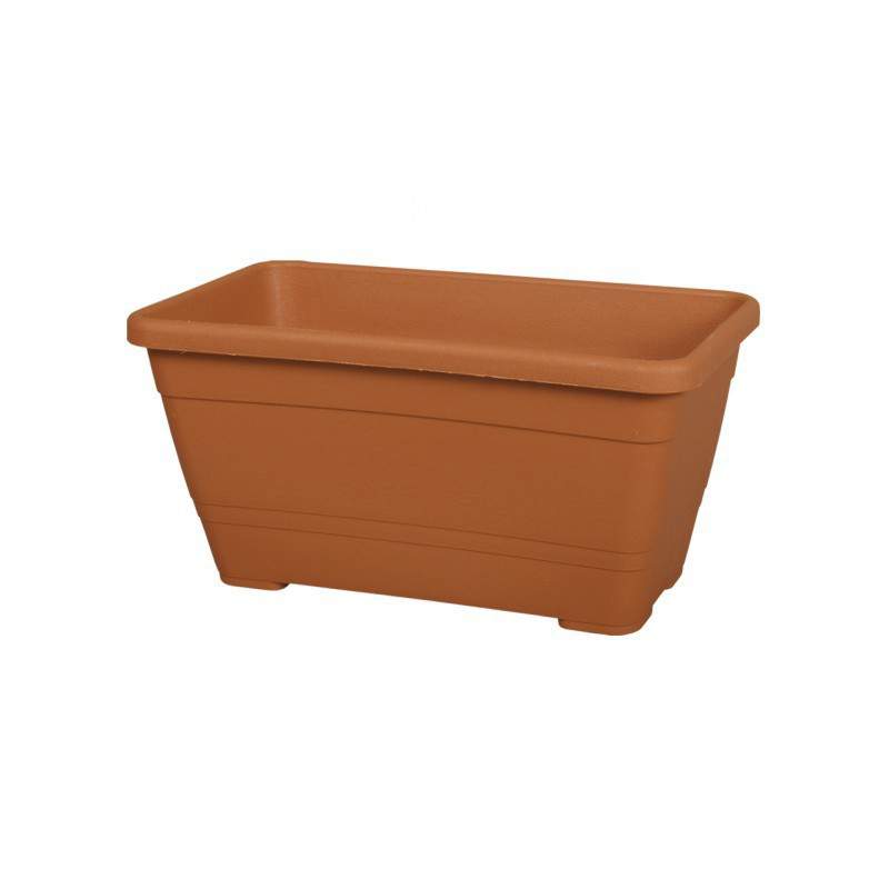 PRIMULA BOX 20 cm TERRACOTTA PRIMULA BOX 20 cm TERRACOTTA