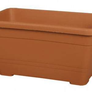 Mini naxos primula plastic terracotta box