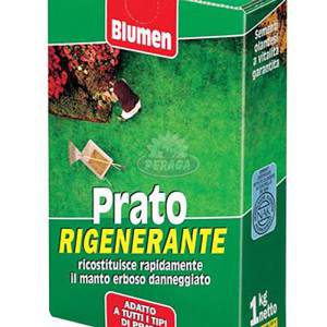 Blumen pradera semillas fuerte césped regenerador