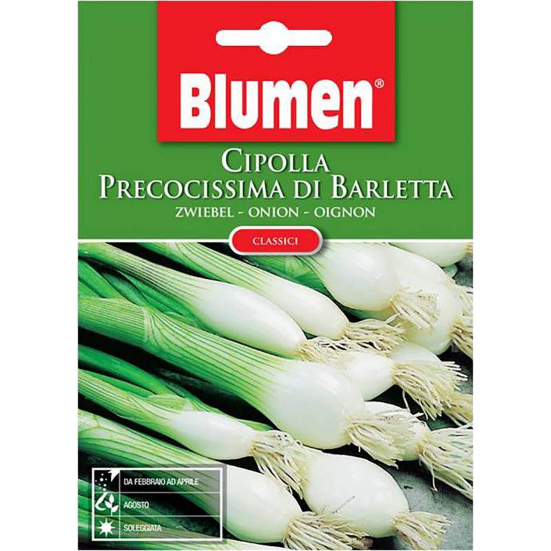 BLUMEN EUROVISION ORTO E AROMATICHE BLUMEN EUROVISION ORTO E AROMATICHE
