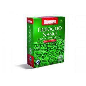 Blumen Clover nanissimo