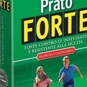 PRATO FORTE 500 gr