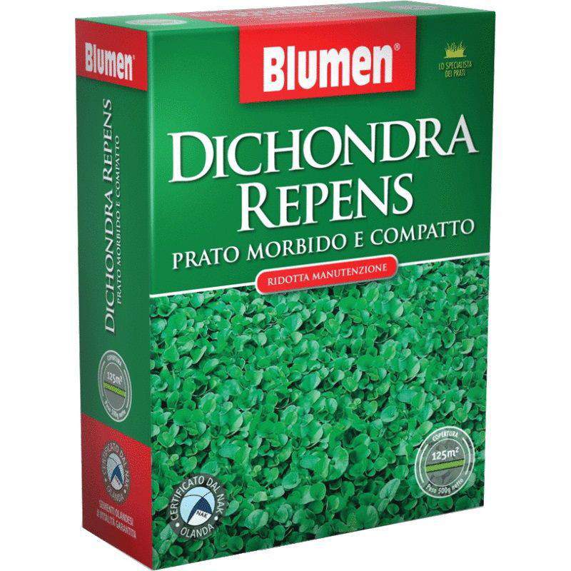 PRATO DICHONDRA REPENS 500GR