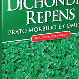 PRATO DICHONDRA REPENS 500GR