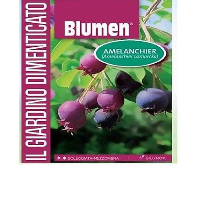 THE FORGOTTEN GARDEN - NATURE REMEDIES THE FORGOTTEN GARDEN - NATURE REMEDIES