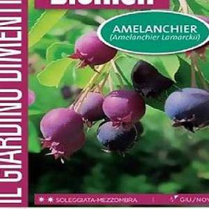 IL GIARDINO DIMENTICATO - RIMEDI DELLA NATURA