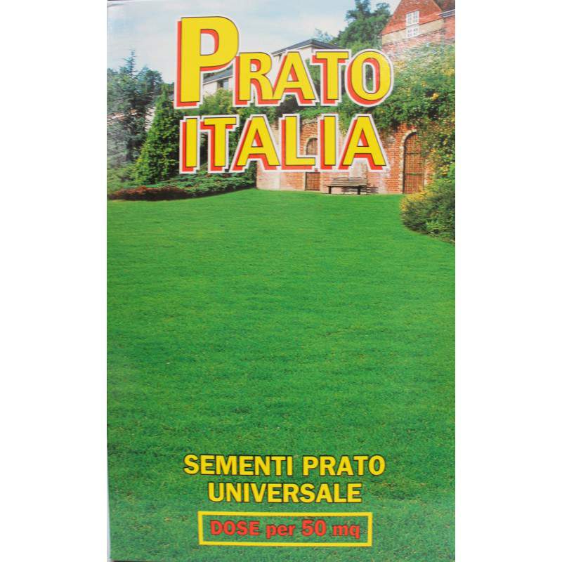 MISCUGLIO PRATO ITALIA kg 1 MISCUGLIO PRATO ITALIA kg 1