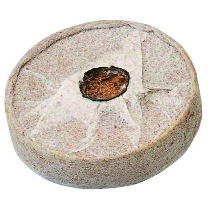Past. COCONUT FIBER/TNT MM45XH10 12PZ Past. COCONUT FIBER/TNT MM45XH10 12PZ