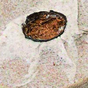 Tecido de almofada de fibra de coco bricomed