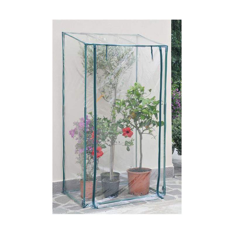 GREENHOUSE BUGANVILLEA 100X70 H170 / 190 GREENHOUSE BUGANVILLEA 100X70 H170 / 190
