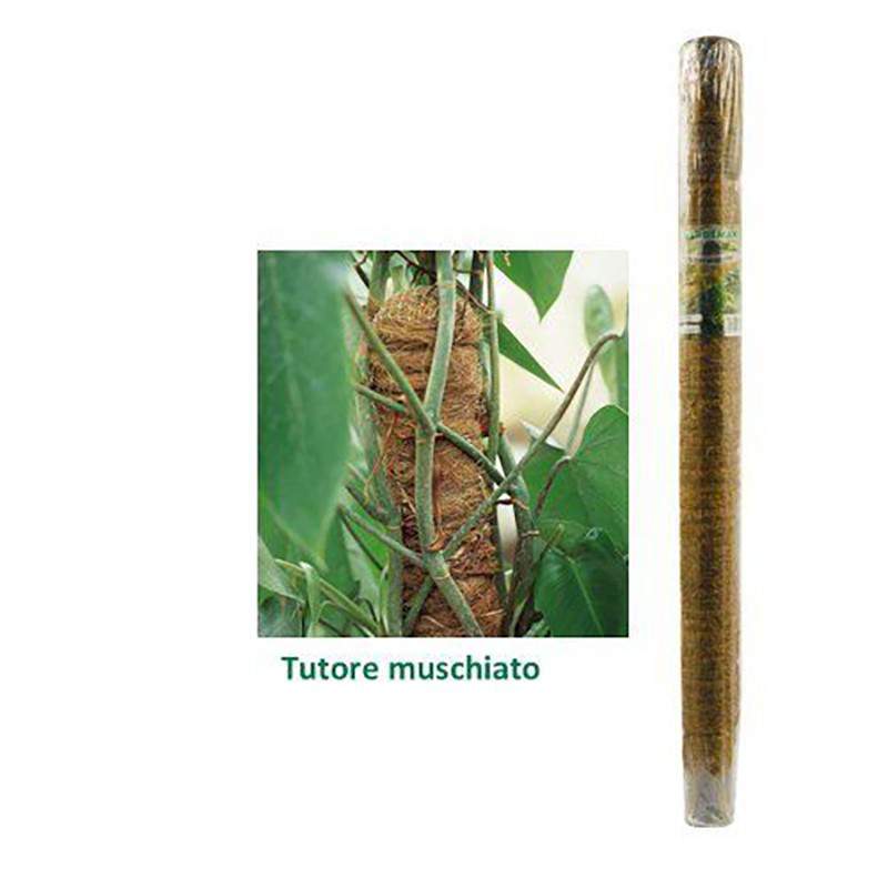 TUTORE MUSCHIATO D32 H60CM TUTORE MUSCHIATO D32 H60CM