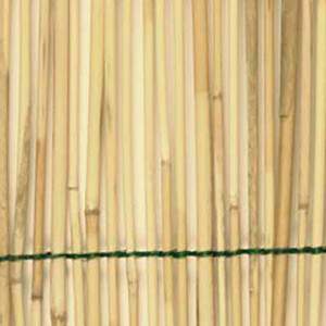 Stockade de bambú crudo