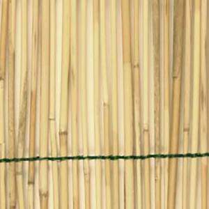Rauwe bamboe palissade