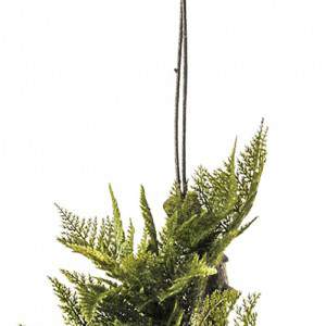 Biazd asparagus for hang acrylic green