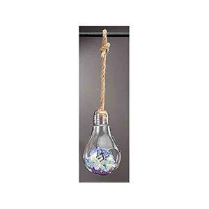 DECOR GLASS APP M.LAMP D14XH26