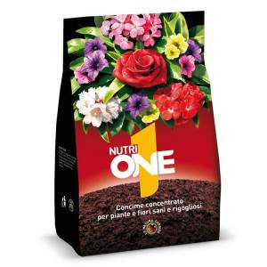 NUTRIONE 72X1 GRANULARE (BOX)