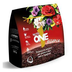 ONE ESSENCE g 300