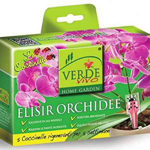 Coccinelle elixir orchids