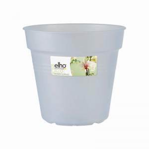 ORCHIDÉE DE BASE VERTE 15cm TRASPARENT