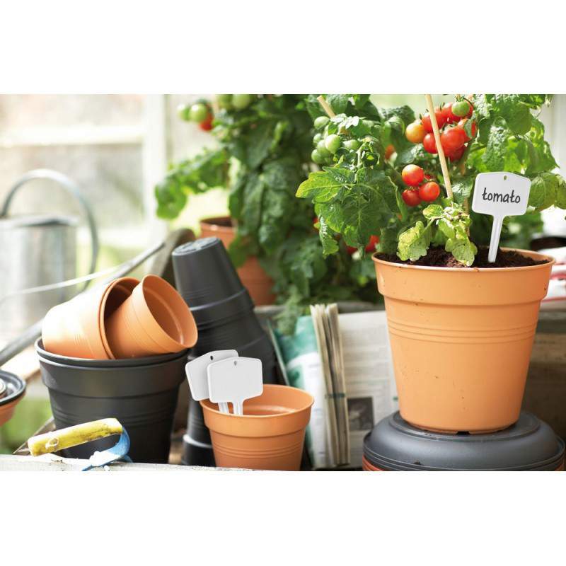 GREEN BASICS PLANTLABELS S WHITE S/5 GREEN BASICS PLANTLABELS S WHITE S/5