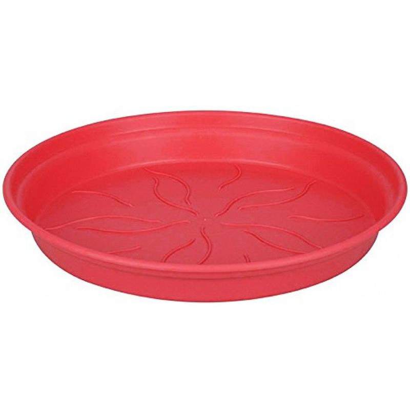 GREEN BASICS SAUCER 41CM CHERRY