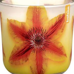 Pote de vela de flor doce clematis amarelo