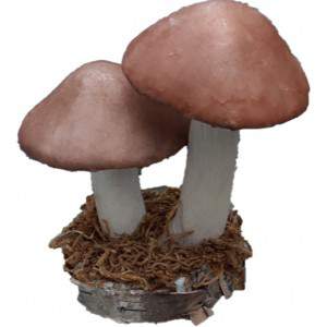 Sierpaddestoelen met standaard