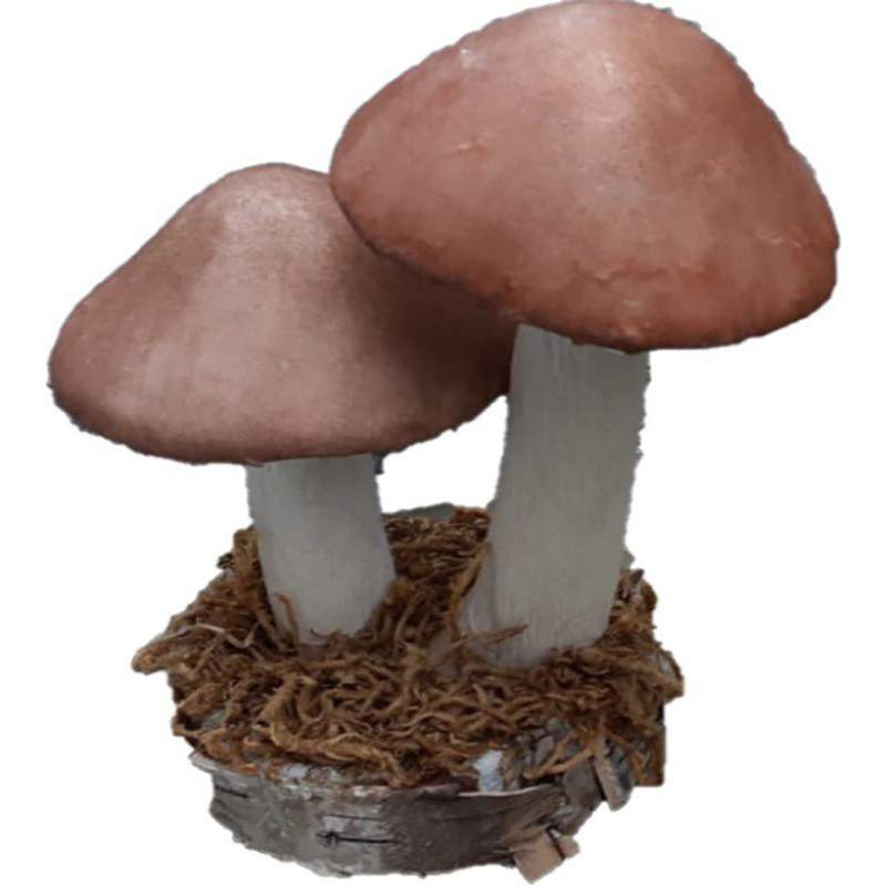 Funghi decorativi con basamento