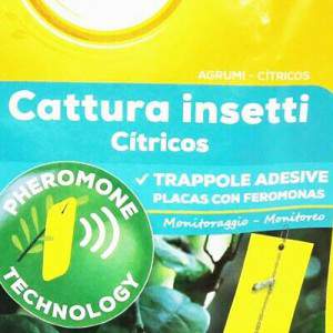 pièges adhésifs d’insectes d’agrumes solabiol 5 Pcs avec phéromones