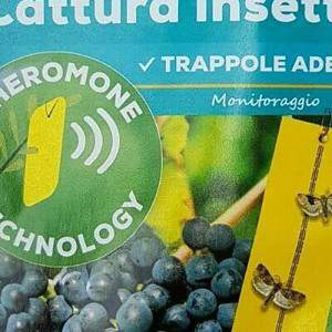 Bayer cinq pièges adhésifs phéromones capture d’insectes