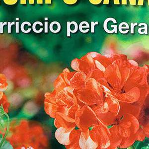 Gerani 20 lt com fertilizante orgânico