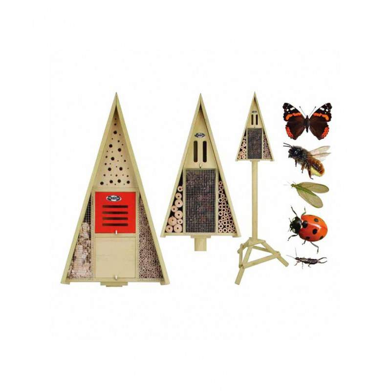 RESIDENCE INSECTS GIFT BOX