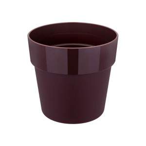 B.FOR ORIGINAL ROUND 14 cm MULB PURPLE