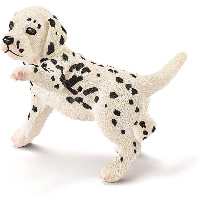 DALMATISCHE PUPPY