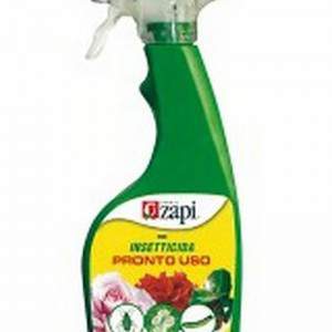 Plantes insecticides Zapi Cip