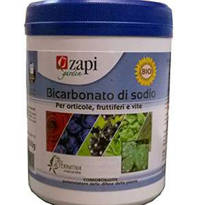 Zapi Bio transportado bicarbonato de sódio para plantas