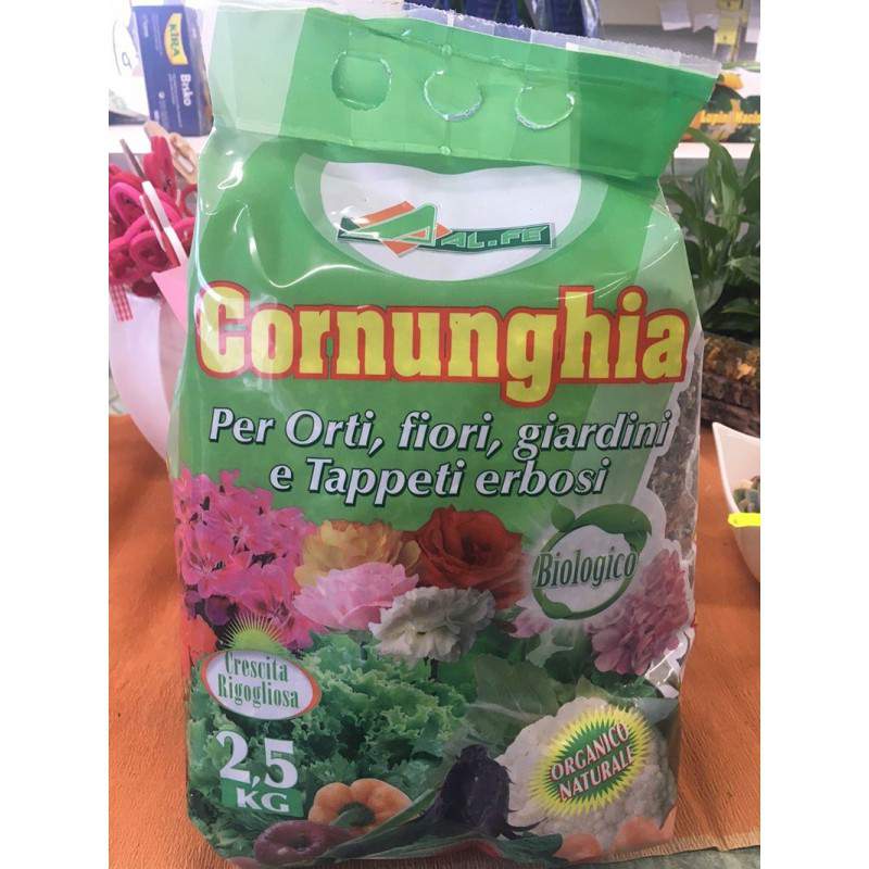 ALFE CORNUNGHIA 2 ALFE CORNUNGHIA 2