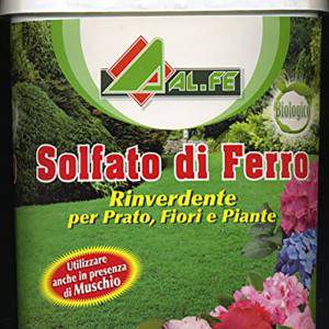 ALFE SOLFATO FERRO 5 kg