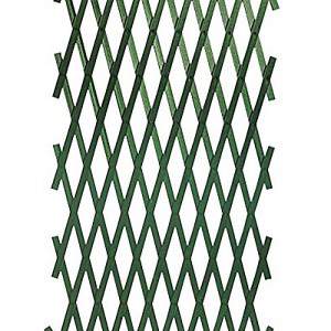 EXTENSIBLE TRELLIS MT. 4X1 property
