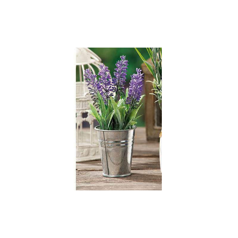 VASO con LAVANDA D6